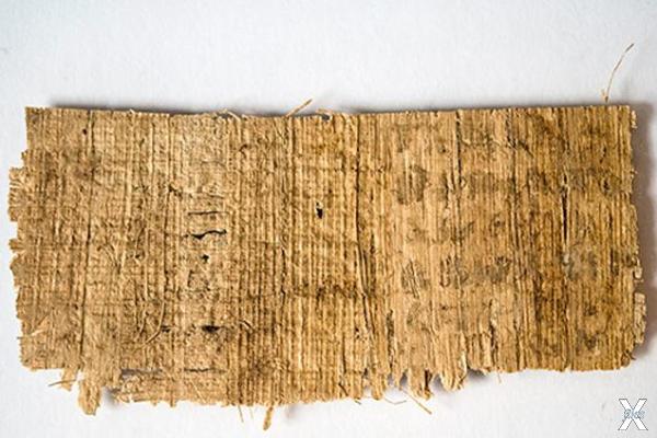 Обротная сторона папируса. Фото: Harv...