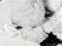 От Антарктиды откололся колоссальный айсберг