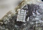 В кубанской реке нашли доисторический камень с «микросхемой»