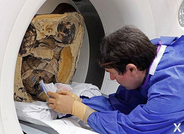 Ученые изучают мумию монаха. Фото: Му...