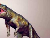 Обнаружен гигантский двуногий крокодил триасового периода