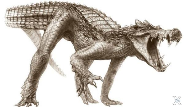 Крокодил-гигант