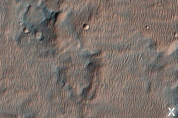 Дно высохших марсианских озер покрыто...
