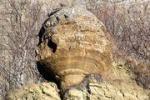 В Чечне нашли раковину гигантского моллюска возрастом в 80 миллионов лет