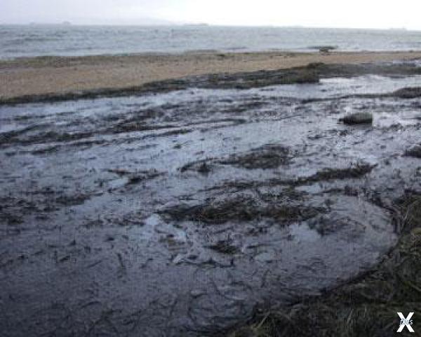 Разлив нефти на Черном море