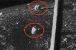 Загадочные артефакты обнаружены на архивных советских снимках, переданных с Луны автоматической станцией «Луна-13»