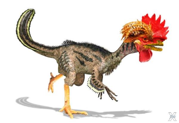 Первые курозавры могут получиться вес...