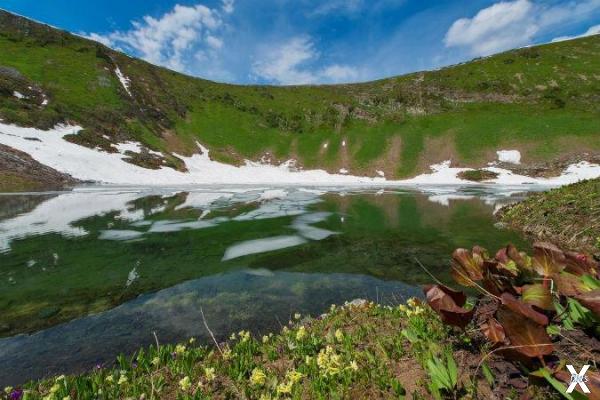 Специалисты заповедника «Хакасский» о...