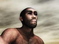Крахмал помог эволюционировать мозгу Homo