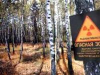 Ученые: вред от Чернобыльской аварии недооценен