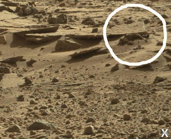 Снимок с телом марсианина, выложенный...