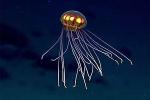 Над Марианской впадиной парит НЛО-медуза