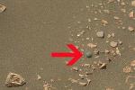 Робот «Любопытство» нашел на Марсе шарик, выточенный из мрамора