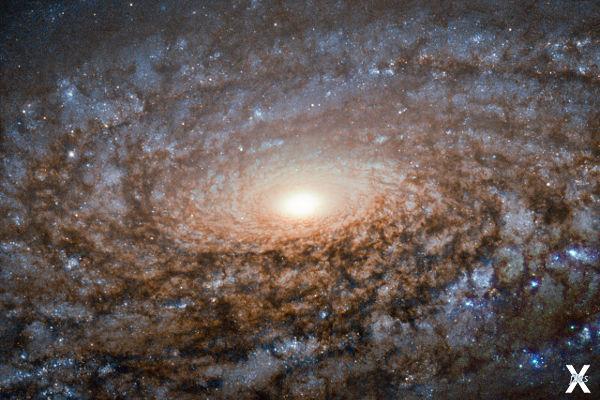 Спиральная галактика NGC 3521