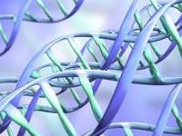 Ученые научились распознавать смешанные образцы ДНК