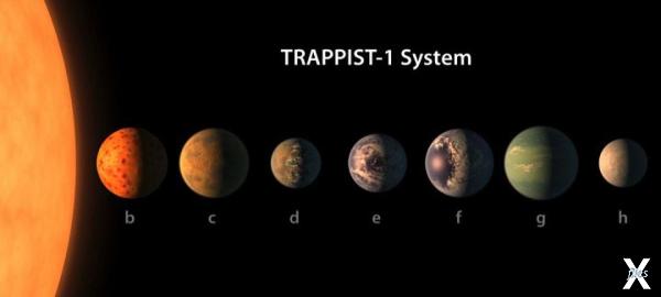 Планеты в системе TRAPPIST-1 размером...