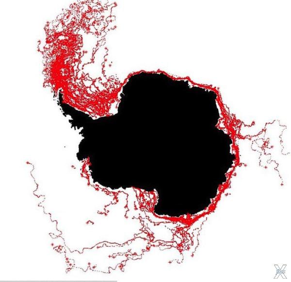 Красные линии - пути айсбергов, откол...