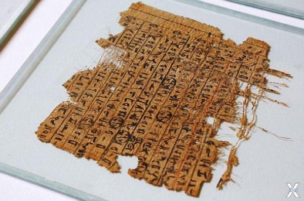 Фрагмент дневника "прораба": папирус ...