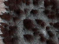 Зонд NASA сфотографировал "волосы" на Марсе