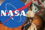 Топ ученый утверждает, что НАСА скрывает доказательства инопланетной жизни на Марсе