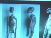 Скелеты пришельцев из Перу