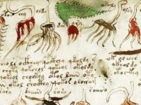 Загадочная рукопись «Сибиу» до сих пор волнует ученых