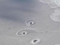 На льду Арктики замечены странные отверстия