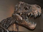 Причины, по которым тираннозавры были намного страшнее и опаснее, чем известные монстры из кино