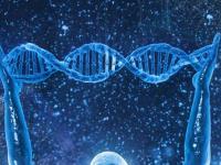 Инопланетяне могли изменить человеческую ДНК