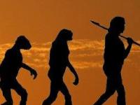 10 самых глупых смертей за всю историю премии Дарвина