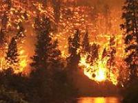 Потепление уменьшает вероятность лесных пожаров