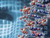 В референсном геноме человека отсутствует 30 миллионов кусочков ДНК