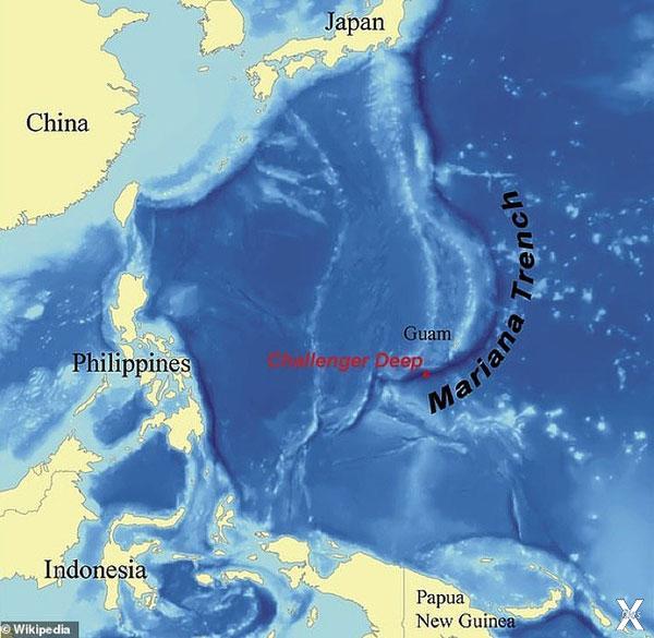 Марианская впадина протянулась на 150...