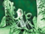 Вирусы-паразиты на страже здоровья человека: 30 миллиардов фагов в сутки