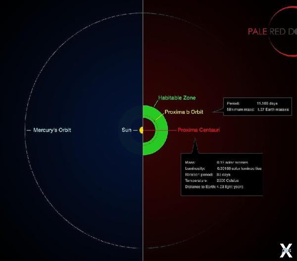 Proxima Centauri b находится в зоне о...