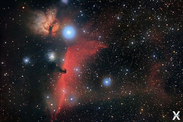 Horsehead nebula — туманность Конская...