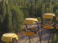 Растения Чернобыля: почему им не страшна смертельная радиация?
