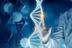 В современной ДНК нашли следы двух неизвестных науке человеческих видов