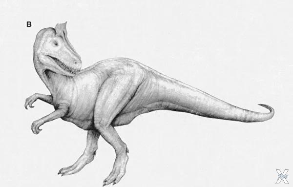 Cryolophosaurus ellioti — "ледяной ящ...