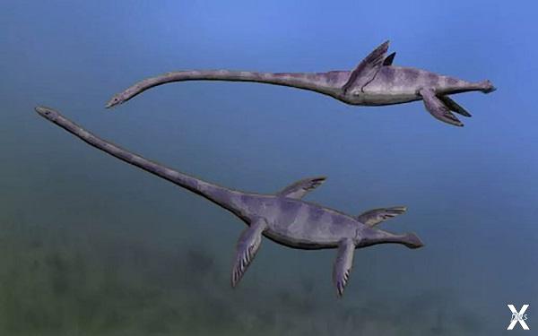 Плезиозавры-эласмозавры — одни из сам...