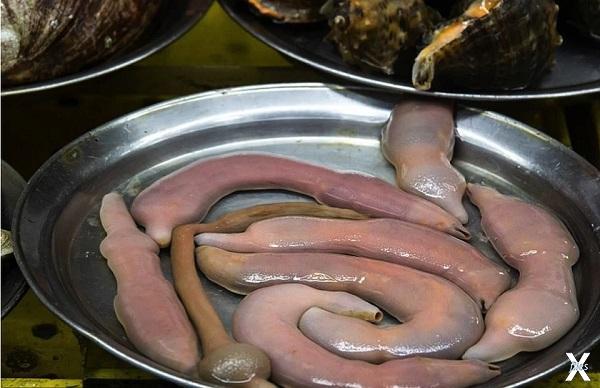 Где-то морские черви идут в пищу