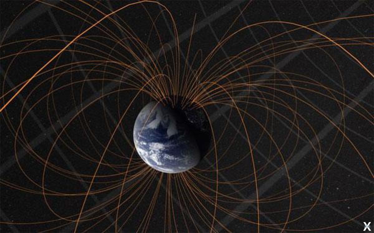 Magnetic field of the neutral zona