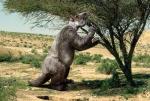 Палеонтологи описали гигантского ленивца, жившего 10 тысяч лет назад