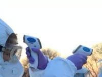 Ворота для инфекции. Встроится ли новый коронавирус в ДНК человека