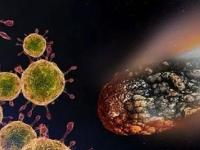 Астробиолог: коронавирус попал на Землю из космоса