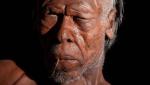 В Африке найдена древнейшая популяция человека