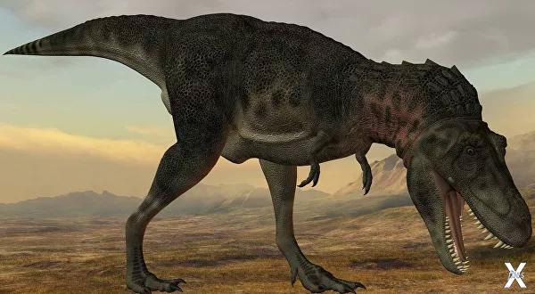 Тарбозавр - ближайший родственник тир...