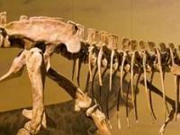 Охота за костями динозавров была очень грязной игрой