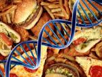 Разбираемся: вредит ли потребление фастфуда нашей ДНК?