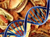 Разбираемся: вредит ли потребление фастфуда нашей ДНК?